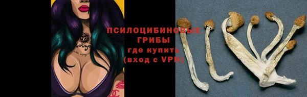 прущая мука Баксан